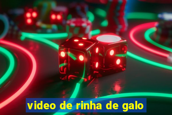 video de rinha de galo